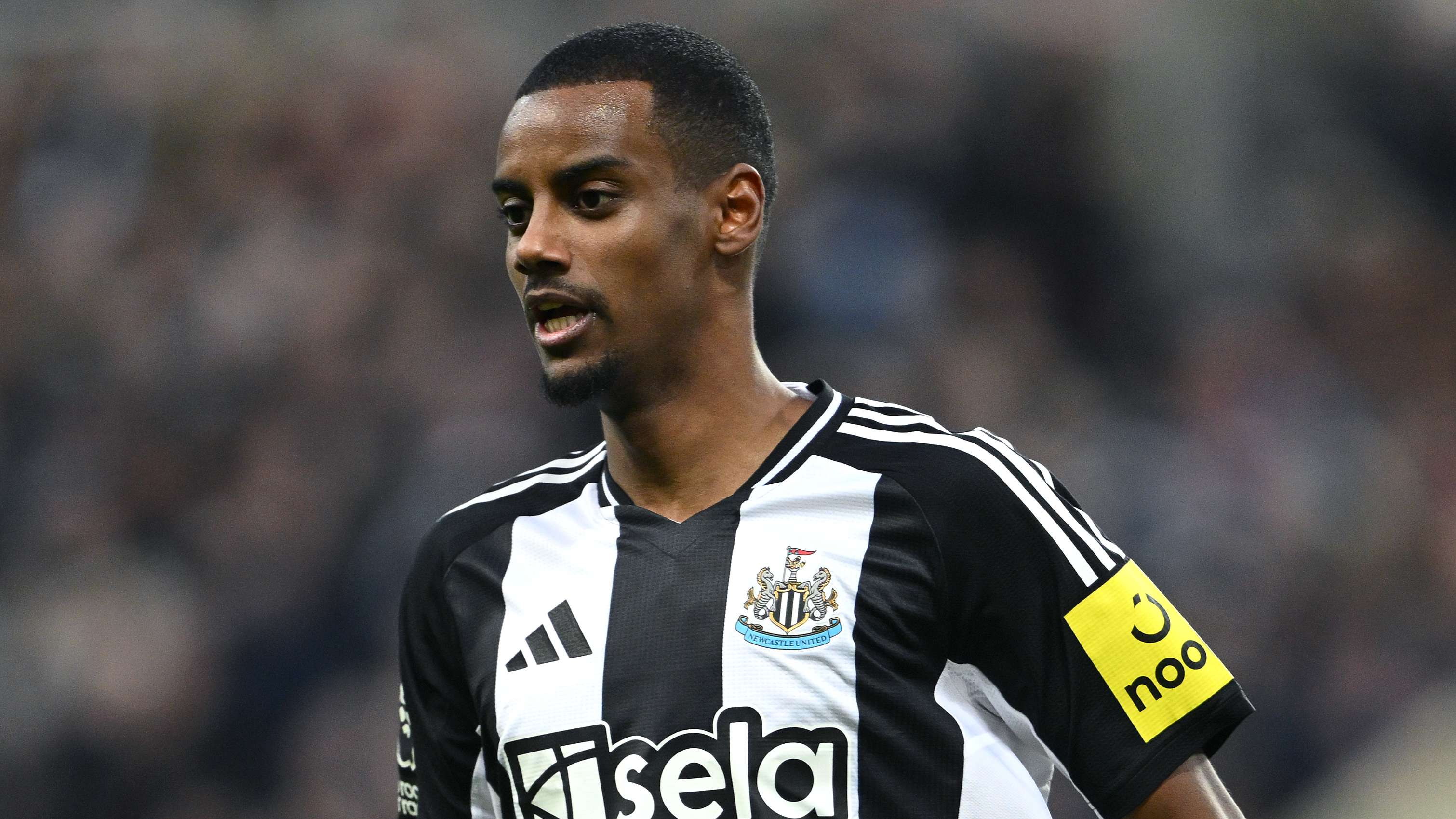 观众的热情 观众的热情